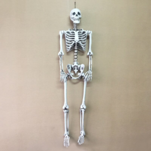 Life Size Pose-n-stay Plastic Skeleton Outdoor And Indoor Halloween Decorations