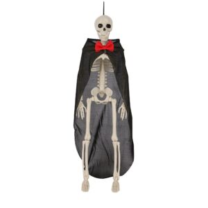 Skeleton Model Poseable Full Life Size Party Prop Decor Human Anatomy Decoration - 2