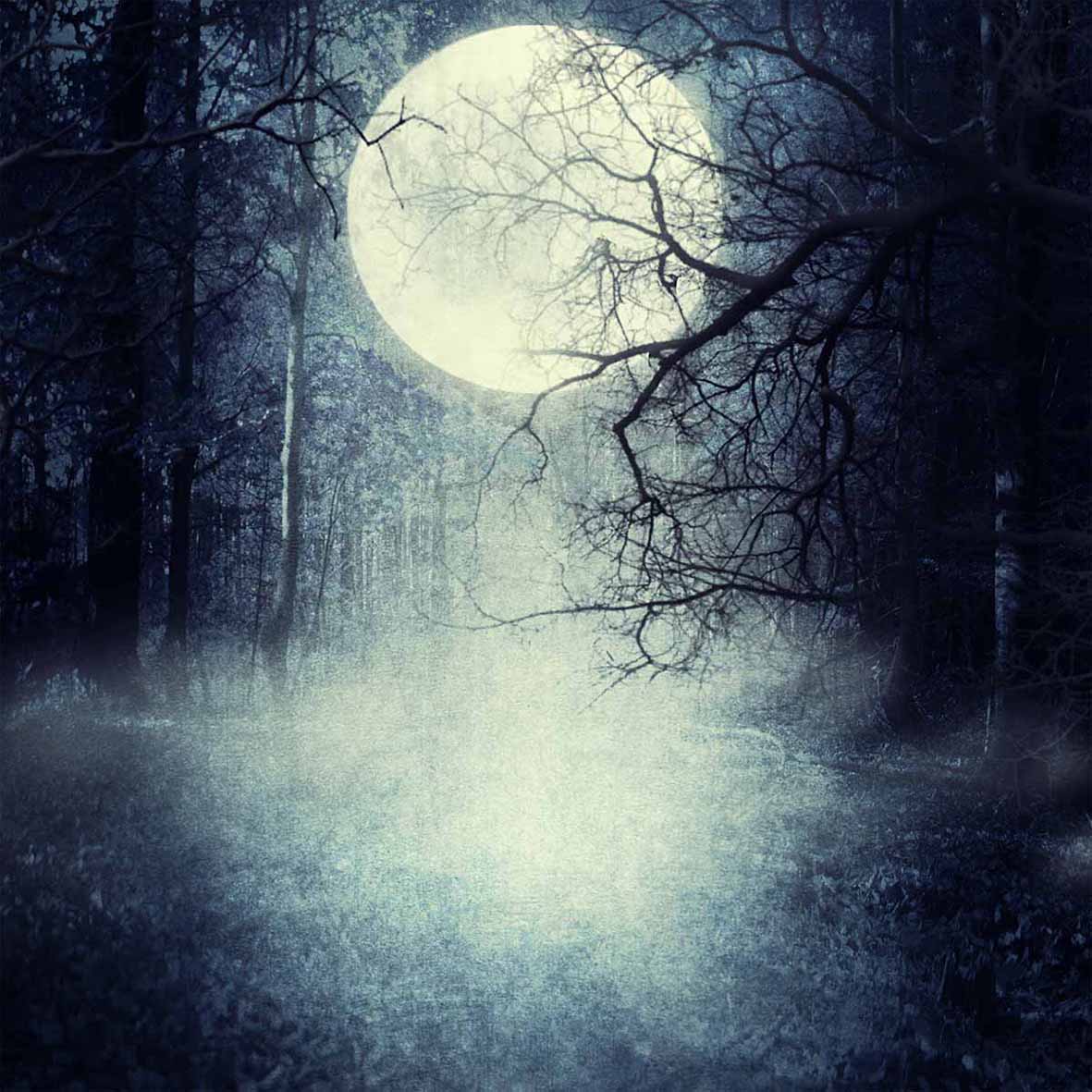 Allenjoy Background Terrible Forest Vintage Moon For A Photo Baby Backdrop Backgrounds Studio - 3